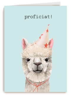Verjaardag kaart hip happy birthday lama alpaca