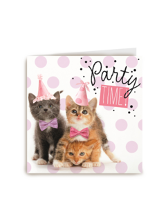 party time met poesjes