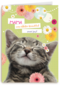 moederdag klassiek een katje voor moederdag
